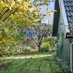 Hébergement de vacances C11524-hemmet-bork-hytteby-246 *